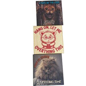 Funny Cat Refrigerator Magnets Set, 3 Pack Decorative 3*3 inc Photo Magnets with